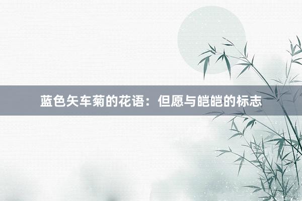 蓝色矢车菊的花语：但愿与皑皑的标志